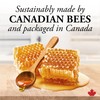 Dutchman's Gold - Pure Canadian Honey Comb - 250 g