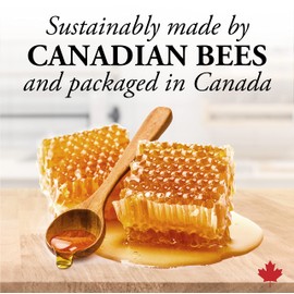 Dutchman's Gold - Pure Canadian Honey Comb - 250 g