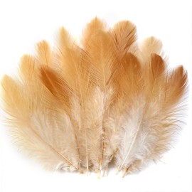 Soarer Natural Craft Feathers Bulk - 300pcs 3-5inch Natural Feathers for Dream Catcher Supplies, Home Party, Hats and Jewelry Accessories and DIY Crafts(Natural)