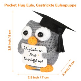 WenmthG Knitted Owl Positive Gifts, Pocket Hug Owl, Positive Potato Replacement, Encouragement Gift, Get Well Soon Gift, Lucky Charm Exam Gift, Owl Doll, Pack of 1