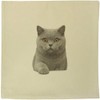 Azeeda 40cm x 40cm 'British Shorthair Cat' Canvas Cushion Cover