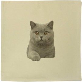 Azeeda 40cm x 40cm 'British Shorthair Cat' Canvas Cushion Cover (CV00045500)