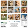 Yellow Labs 2026 12" x 12" Wall Calendar