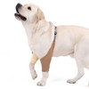 Dog Front Leg Joint Protector Sleeve,Elbow Sleeves with Pad for