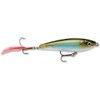 Rapala XRSB07 Currican X-Rap Subwalk, Moss Back Shiner
