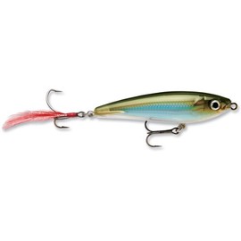 Rapala XRSB07 Currican X-Rap Subwalk, Moss Back Shiner