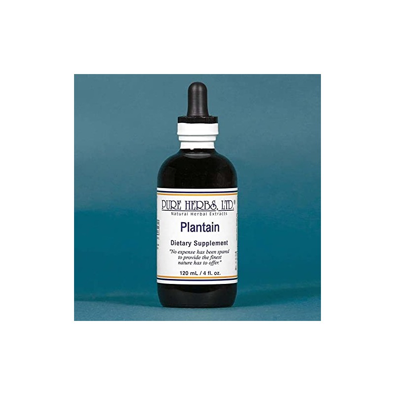 Pure Herbs, Ltd. Plantain (4 oz.)