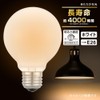 Ohm Electric Incandescent Bulb Bulb Ball Bulb Filament Bulb Long