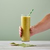 DaVinci Gourmet Matcha Green Tea Smoothies Blended Drink Mix, 3