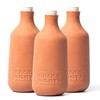 Back to the Roots Self-Watering Terracotta Olla Pot (Pack of