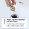 Kablle Bathroom Sink Faucet with Pull Down Sprayer, Brushed Gold