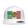 Mexican American Flag Combination HAT 6089 Classic Snapback HAT. US