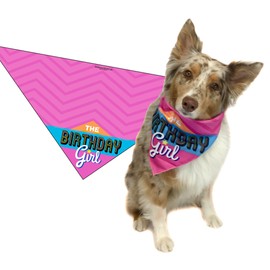 Stonehouse Collection Dog Birthday Girl - Happy Birthday Dog Bandana - Dog Birthday Scarf Accessory - Great Dog Gift Idea (Medium to Large)