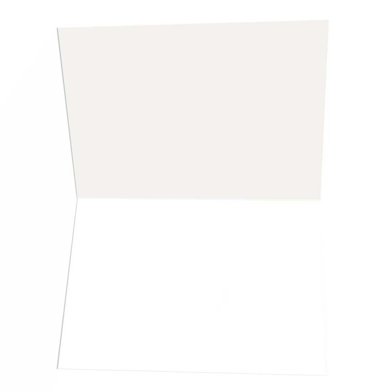Stonehouse Collection New Address Announcement Note Cards - 10 Boxed