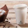 Organic Paper Cups, Disposable Cups, Paper Cups, Compostable and Biodegradable