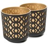 Tymar Flower Pot, Set of 2, Round Shape, Planter (Black/Gold,