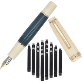 Jinhao 82 - Pluma estilográfica de plástico, bolsillo de párrafo corto con convertidor de tinta y 20 cartuchos de tinta negra, punta fina de iridio, gris