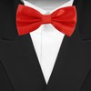 Time to Sparkle Bow Tie Mens Bowties Pre-tied Shape Clip