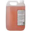Faith In Nature Lavender & Geranium shampoo 5 litre