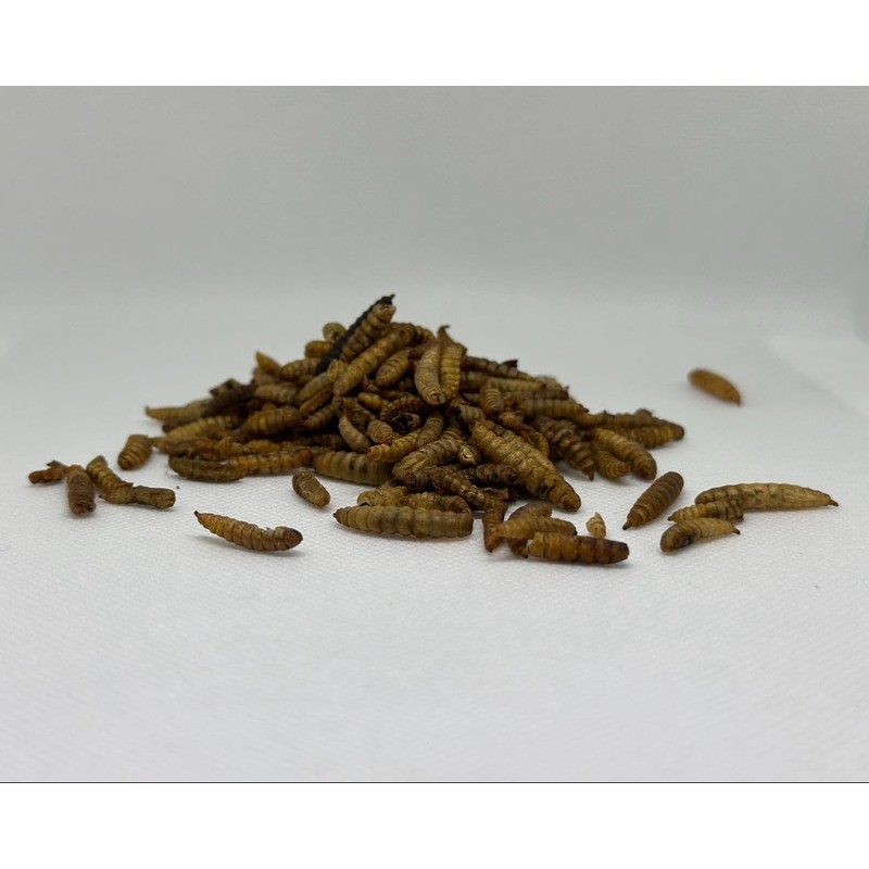 Zee Bug Wafters (Dumbell)