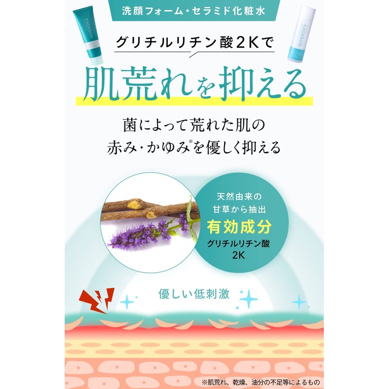 KADASON Facial Cleansing Foam (4.2 oz (120 g) / Seborrheic