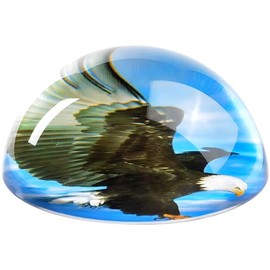 Rhode Island Novelty 80 mm Dome Paperweight Eagle