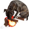 Midlee Campfire Dog Toy