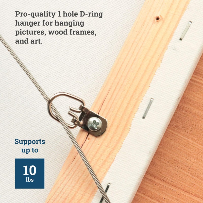 D Ring Picture Hangers with Screws - 100 Pack -