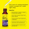 Rescue Remedy Night Kids Dropper (Raspberry), Soothing Support for Restful