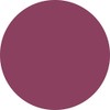 PREANFA PGU-M324 Color Gel Cassis Berry 324 0.1 oz (3