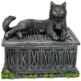 Nemesis Now B2808G6 Fortune's Watcher Tarot Box 17cm Black, Resin