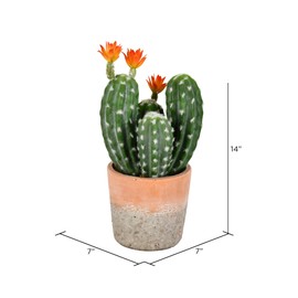 Vickerman Everyday 14" Indoor Green Cactus in Clay Pot - Decoration of Durable Polyester for Arrangements - Maintenance Free