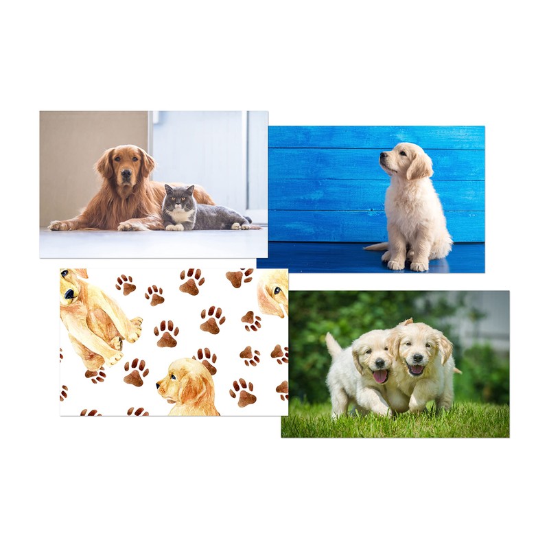 DV DESIGN Set of 4 Golden Retriever Black Ballpoint Pens