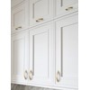 JIASENBAO Brushed Gold Cabinet Pulls 3 Inch Arch Twisted Brass