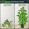 60 Inch Moss Pole, Bendable Moss Pole for Plants Monstera,