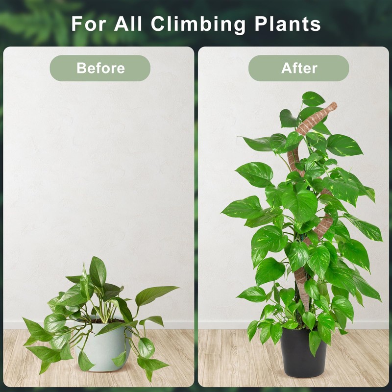 60 Inch Moss Pole, Bendable Moss Pole for Plants Monstera,