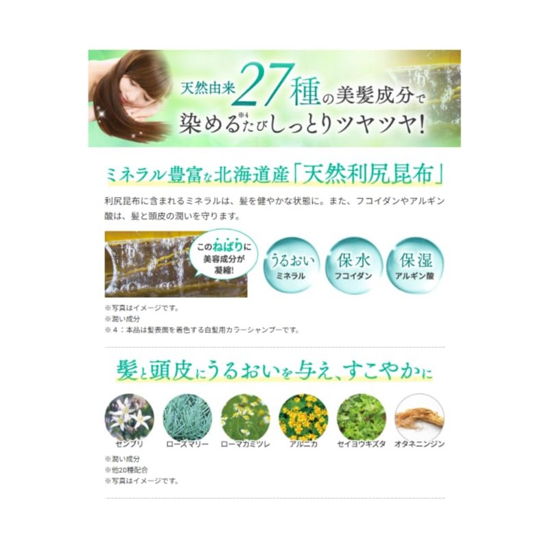 Sastty [For Gray Hair] Rishiri Color Shampoo 200ml (Black)