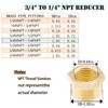 AOPANDA Brass Reducing Hex Bushing 3/4 NPT male x 1/4