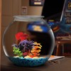 Aquatic Wonder 1 Gallon Fish Bowl: Round Crystal Clear Plastic