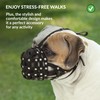 CollarDirect Leather Basket Dog Muzzle for Boxer, English American Bulldog