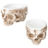 Innovative Resin Skull shaped Flower Pot Succulent Planter Holder Ornament