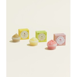 SKINFOOD Choose 1 Lip Food Mask 3 Types Lip Balm Scrub Sleeping Pack 4119619 (Lip Sleeping Pack) Honey Sugar (21ml) / SKINFOOD 택1 립 푸드마스크 3종 립밤스크럽슬리핑팩 4119619 (립슬리핑팩) 허니슈가(21ml)