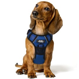 TwoEar Dog Harness, No Pull Reflective Harness Front Clip Easy Control Handle Adjustable Soft Padded Pet Vest for Puppy Small Medium Large Dogs Breed Pet(Medium,Blue)