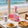 Hodao Flamingo Figurines Decorations with Salt and Pepper Shaker Flamingo
