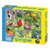 Springbok Birds of a Feather 500 piece Jigsaw Puzzle for