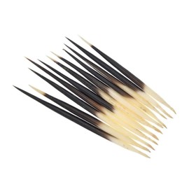WLngtv 6 Pcs Black and White Porcupine Quills Hair Stick Indian Crafts Accessories Fishing Buoy DIY Sewing Project Kits,Sewing