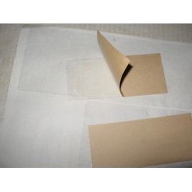 TredNot 10 Pk Camel Cricket/Roach/Scorpion Sticky Traps