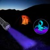 HQRP Professional 365 nM Longwave 12 UV LED Blacklight Flashlight