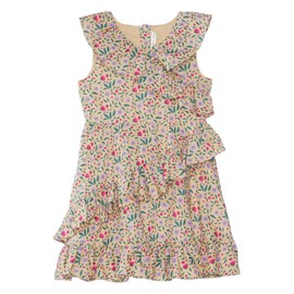 Janie and Jack Girls' Tan Floral Dress (Toddler/Little Big Kids), Natural