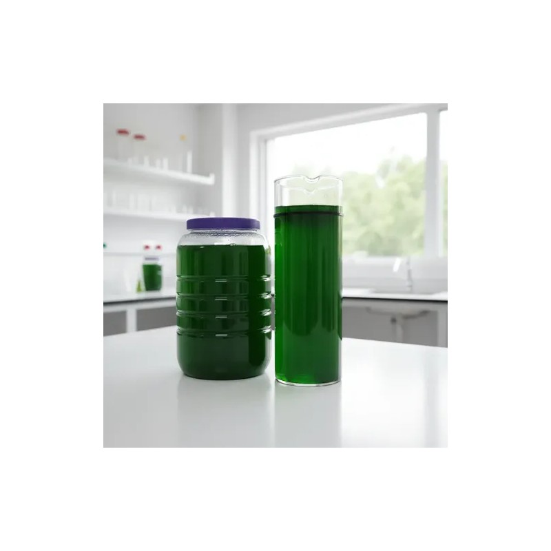 Espirulina Viva Alga Semilla Natural Culitvo